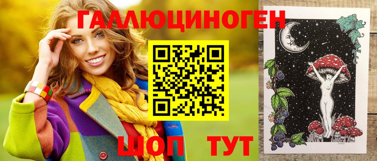 Псилоцибиновые грибы Psilocybe  Вход с VPN  Вологда 